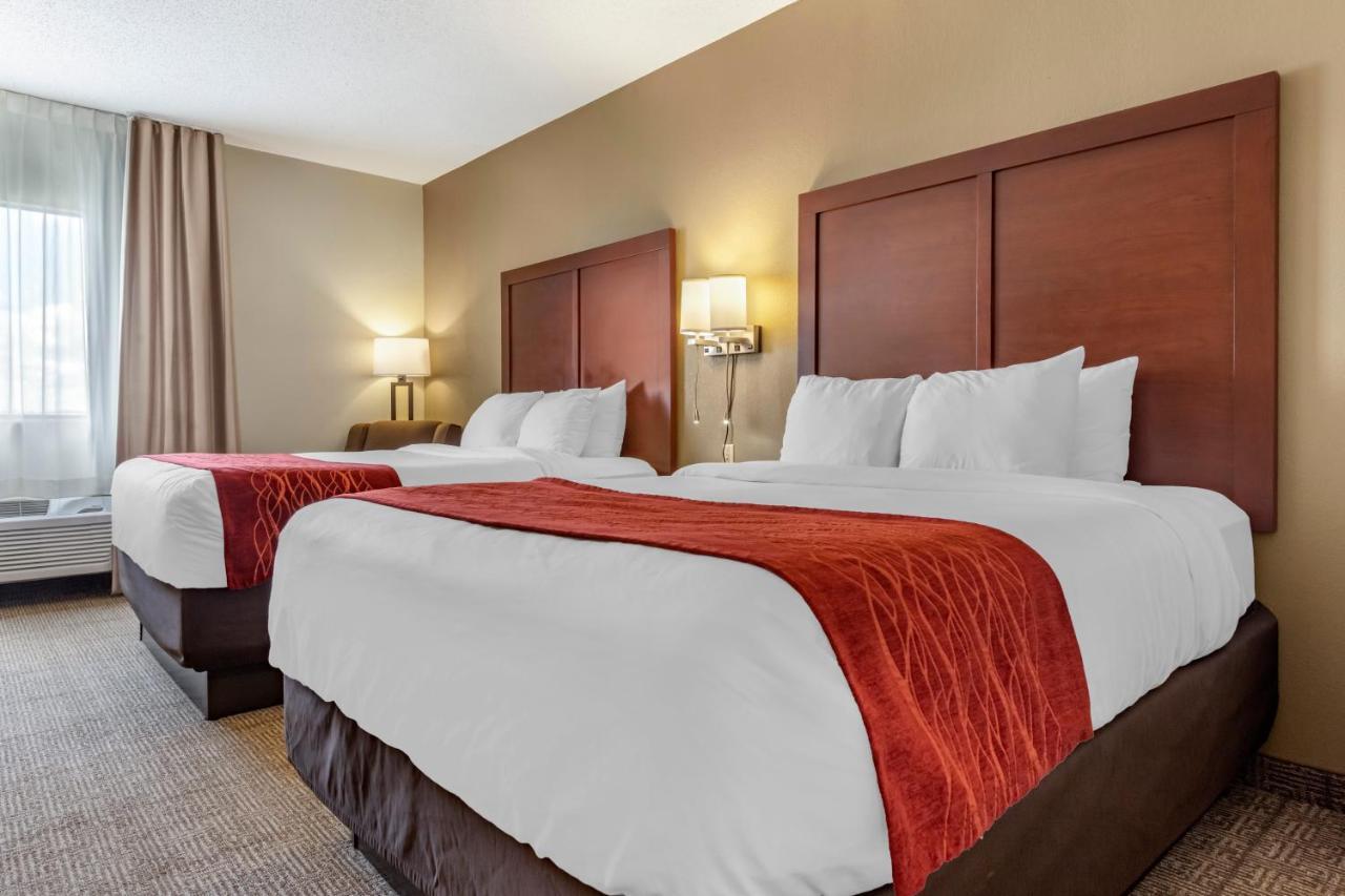 Comfort Inn & Suites Streetsboro - Kent מראה חיצוני תמונה