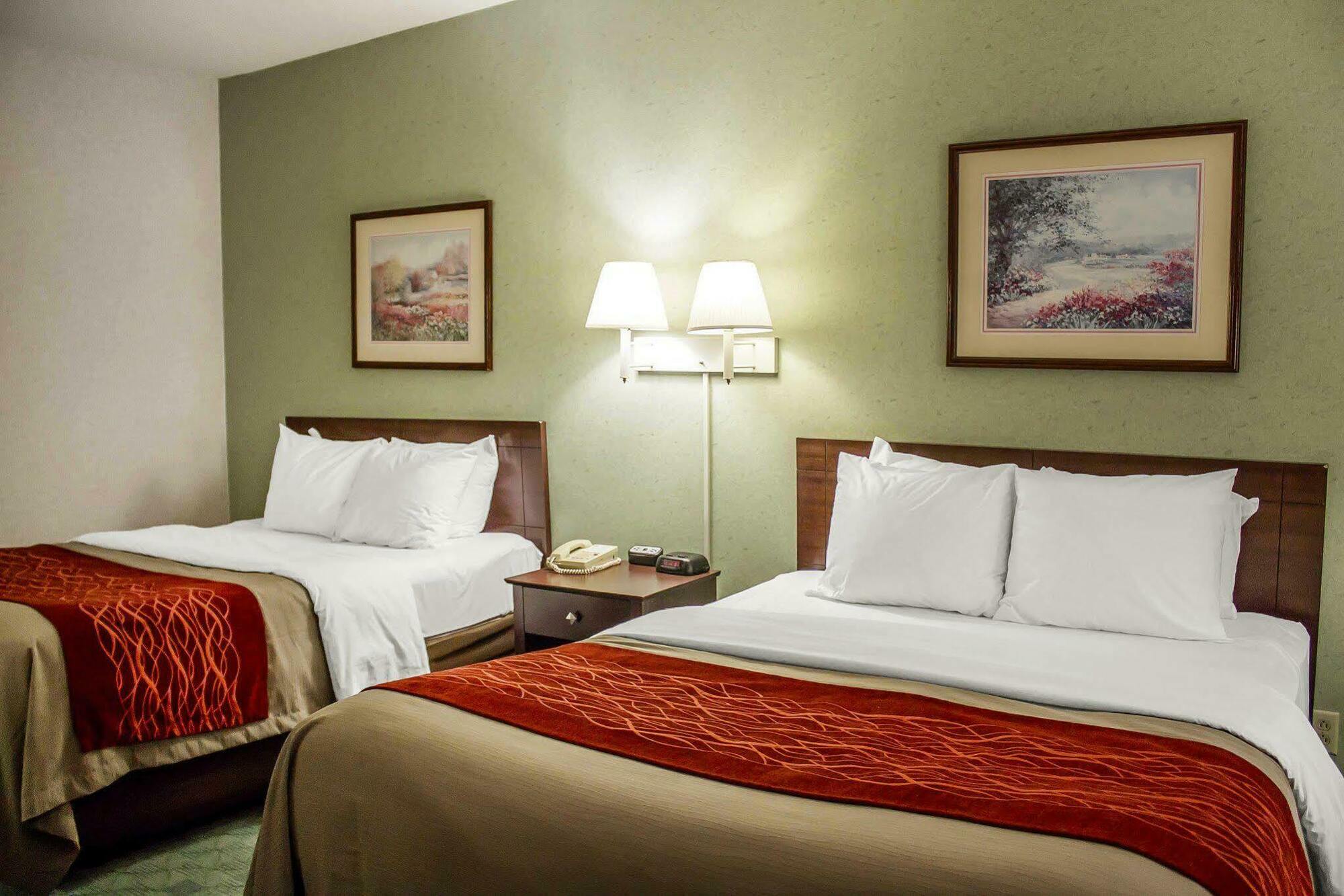 Comfort Inn & Suites Streetsboro - Kent מראה חיצוני תמונה